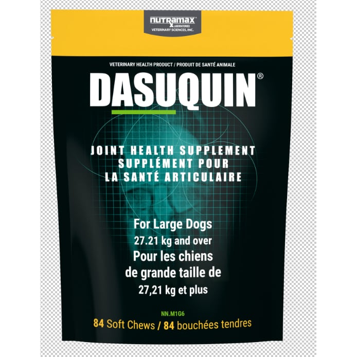 Dasuquin with MSM soft chews for large dogs