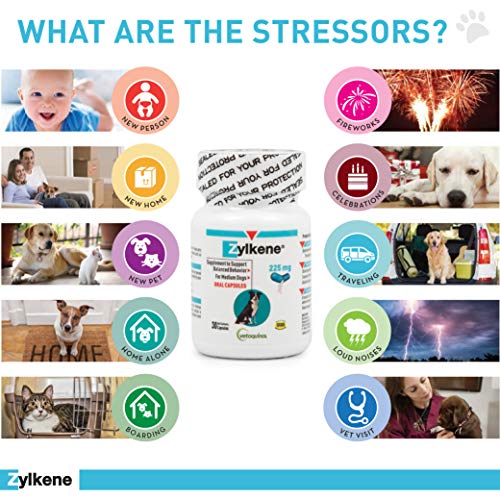 Vetoquinol Zylkene Behavior Support Capsules for Dogs & Cats, 225mg, 30ct - Calming Natural Milk Protein Supplement - Help Pets Cope with Change & Noise-Related Stress - Non-Drowsy - Lactose-Free